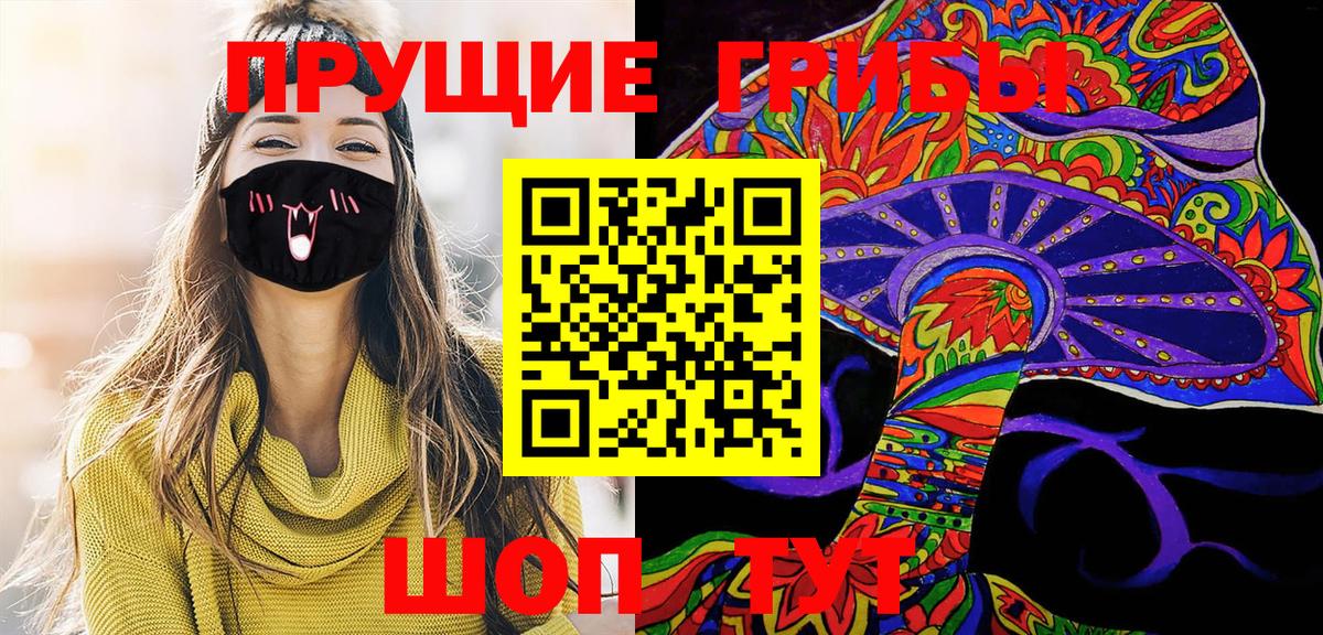 Псилоцибиновые грибы Psilocybe Кушва