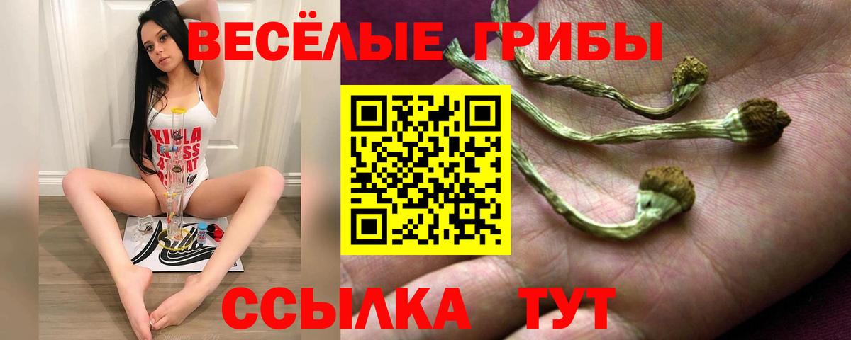 Псилоцибиновые грибы Magic Shrooms  Вход с VPN  Кушва 